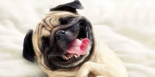 Фото из Chrome