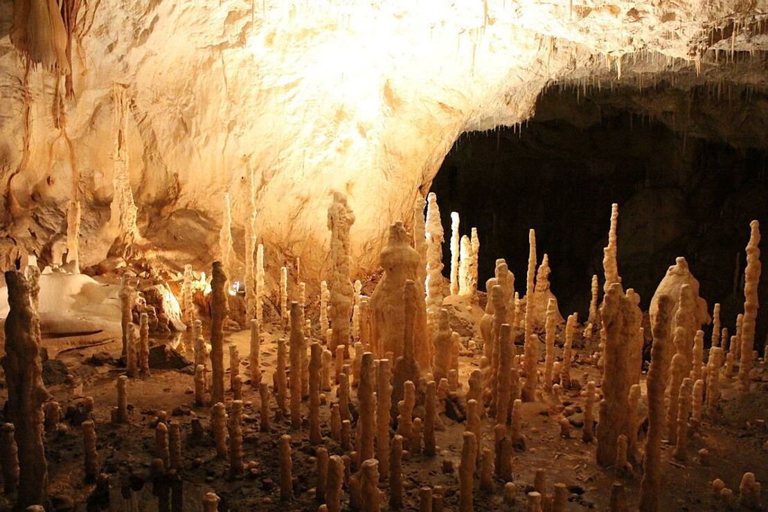 Фото взято из открытых источников