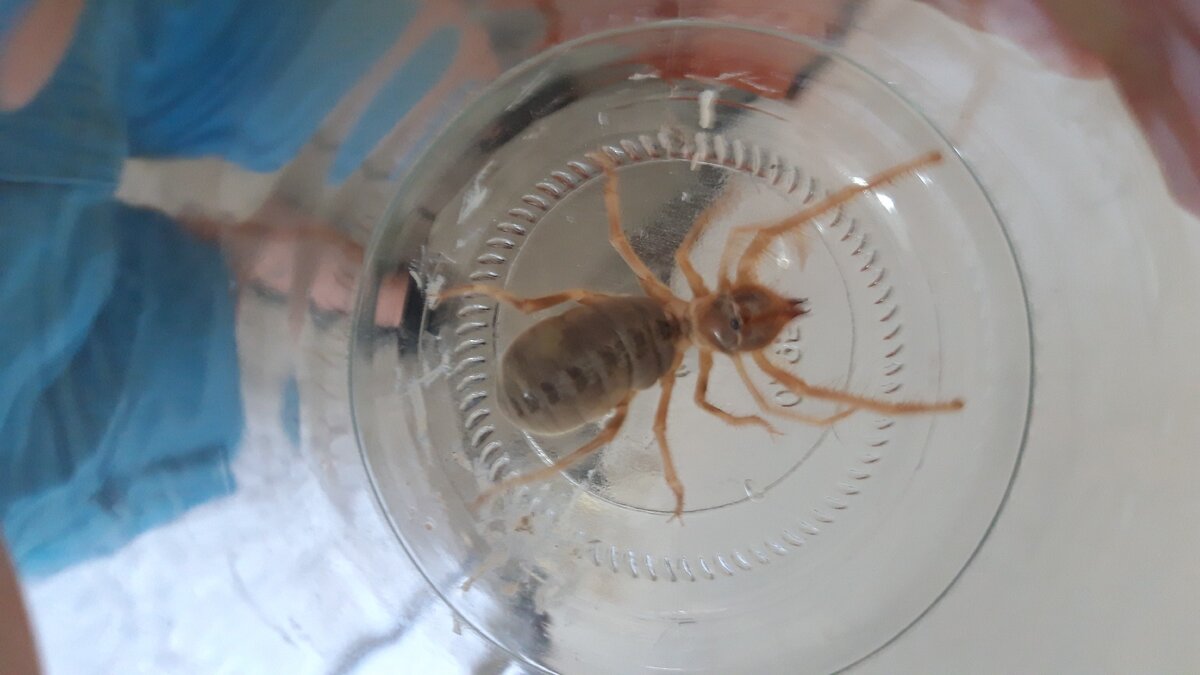 Так она выглядит. 