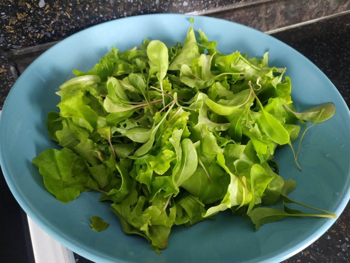 Вымыть зелень. Листья салата нарвать, смешать с рукколой и отправить в тарелку.