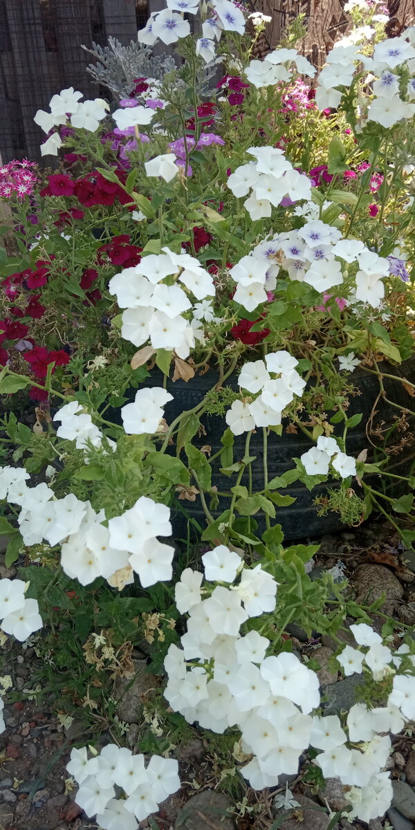 Авторское фото