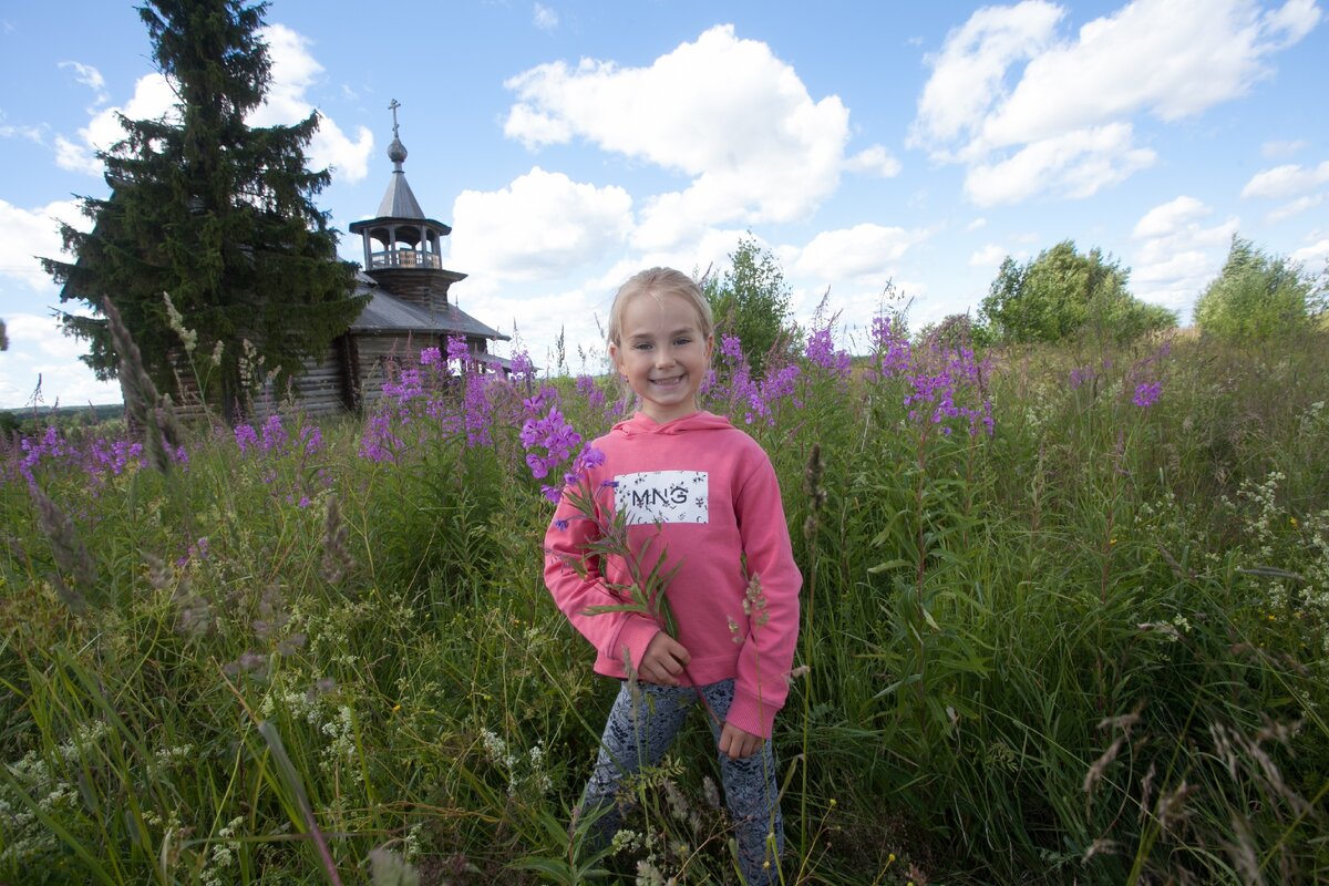 Иван-чай в районе часовни Рождества Богородицы в с.Маньга