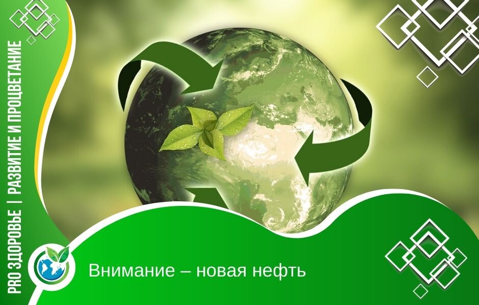 Фото: https://pixabay.com/illustrations/nature-earth-sustainability-leaf-3294632/