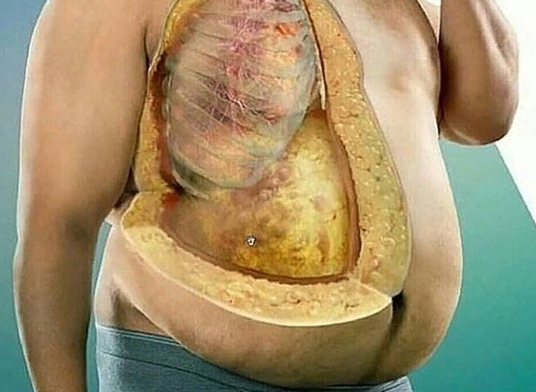 В распёртом газами и растянутом перееданием кишечнике, деформирующем и позвоночник (в котором 2-й мозг) нет места интеллектуальности