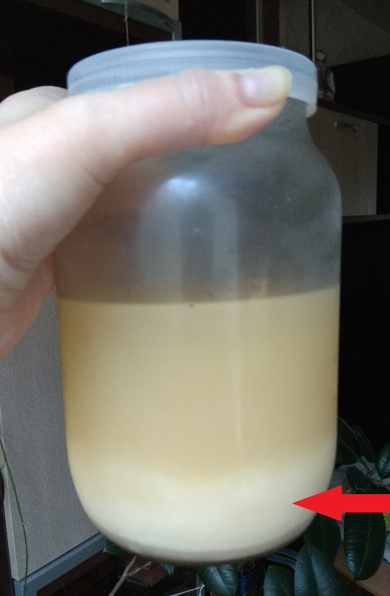 Квасной осадок