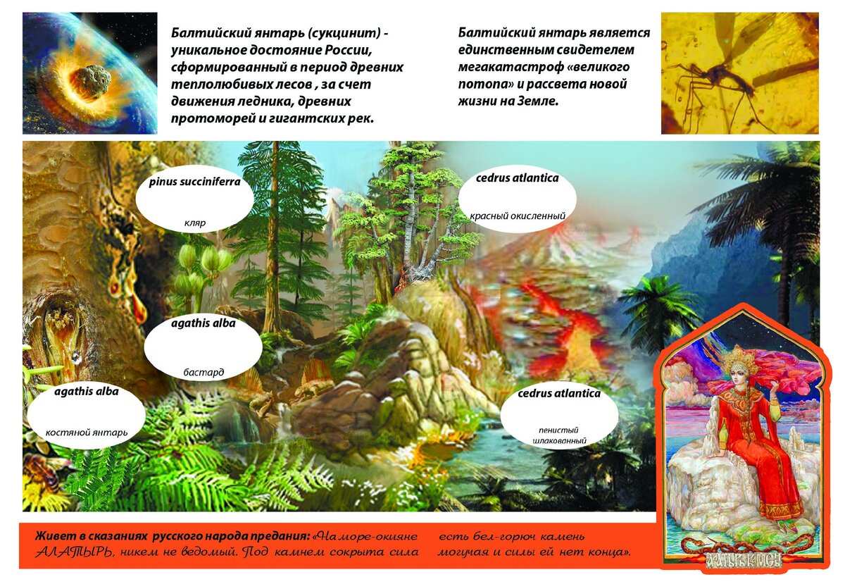 Реконструкция янтареносного леса, существовавшего более 60 млн. лет назад на месте современной швеции. После падения гиганских астероидов на землю, произошли  мегакатастрофы  и  обледенение планеты  километровыми в ввысоту  ледниками 