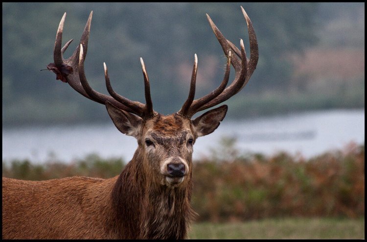 источник фото Яндекс