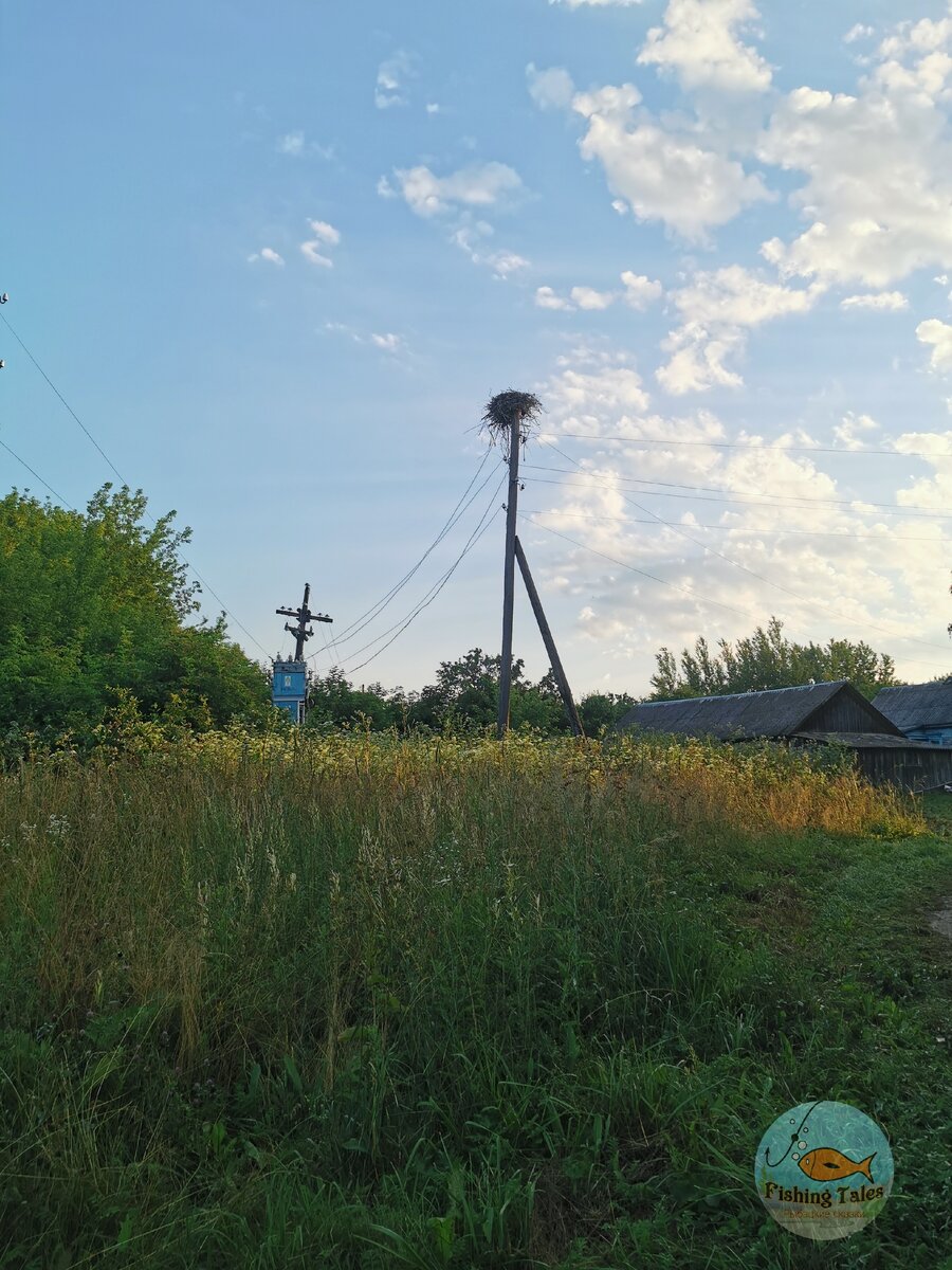 Фото: Fishing Tales 