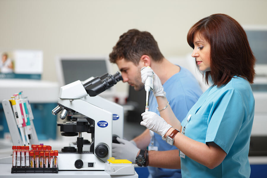 Изображение: point.md