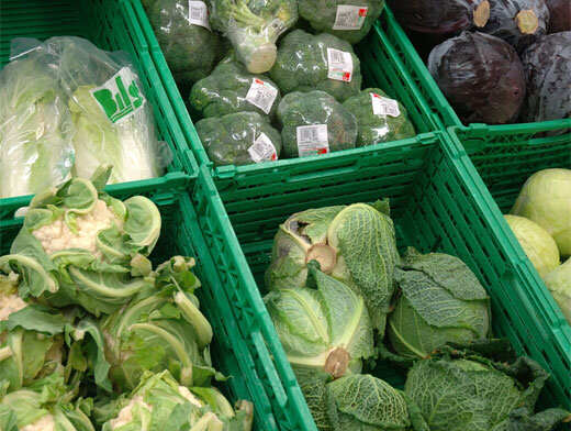  Источник фото: globallookpress.com 