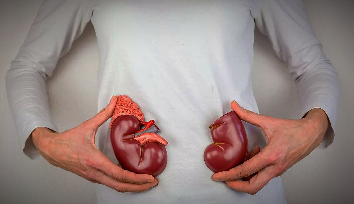 Как проверить здоровье почек?