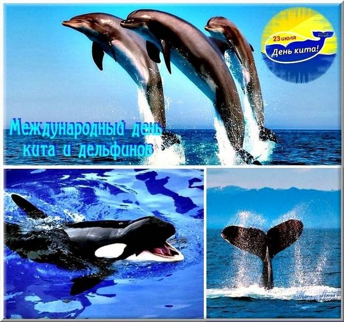 источник: yandex.ru/images