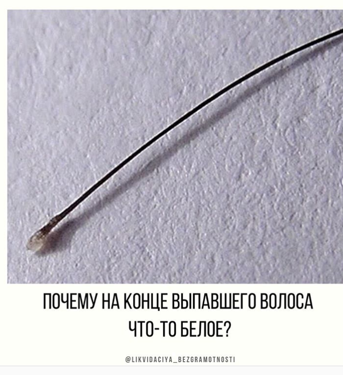 Сегодня у нас ликбез немного медицинский!