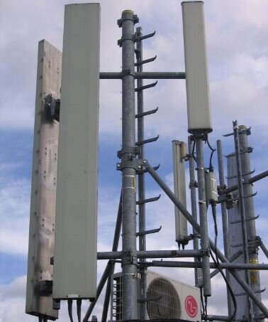 фото из сети