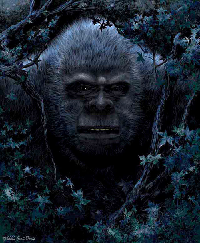 Фото взято из источников интернета 