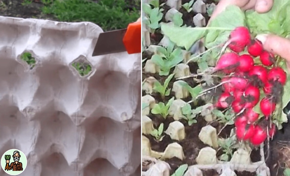 Как я это делаю: