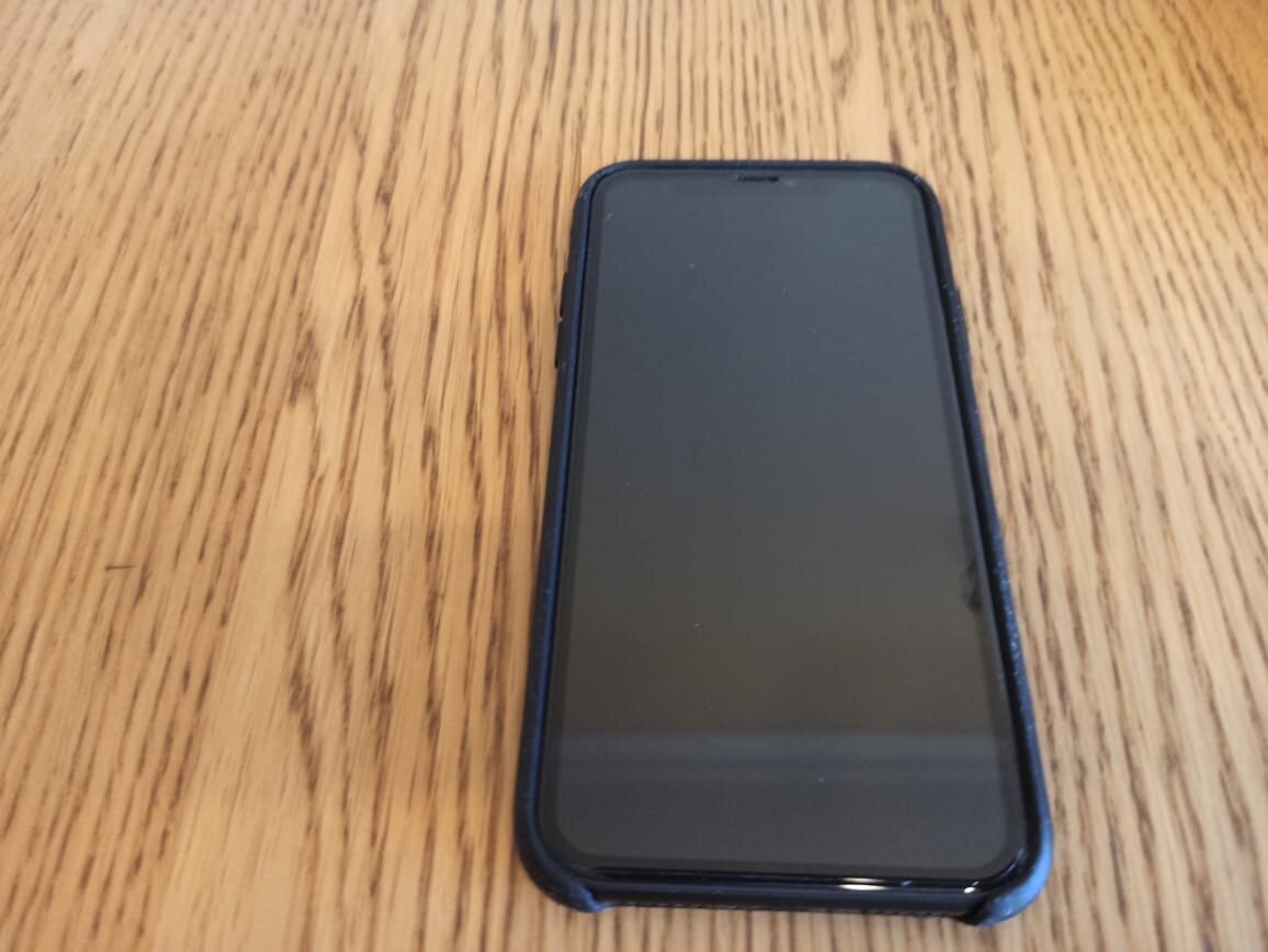 Фото сделано автором (телефон)