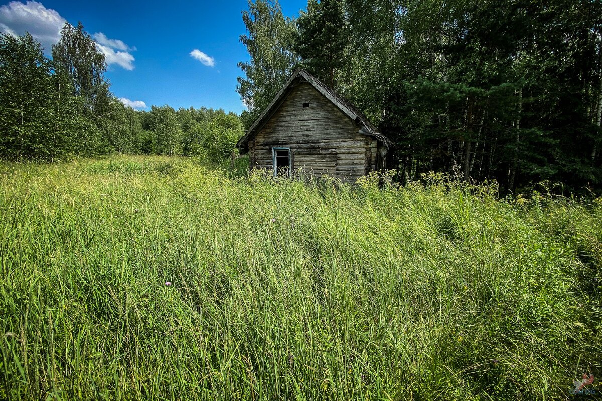 В лесу нашел одинокий заброшенный дом из сруба. Осмотрел и принял решение его восстановить