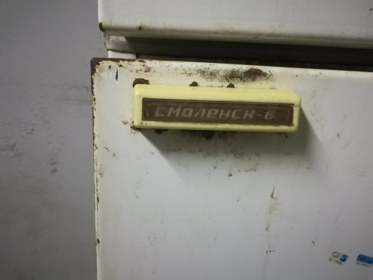 Приехали к знакомому в гараж выгрузить материалы , а у него там этот холодильник . При том на улице жарища под 40 С , а холодильник морозит как надо . 
Со слов знакомого последние лет 5 он тут стоит , и в мороз и в жару (гараж не отапливаемый),летом напитки хранит и прикормку для рыбалки , а зимой тоже самое.

При том со слов знакомого он и падал несколько раз , и возили туда сюда , и в мороз и в жару работает и ни разу не ломался , единственный минус что вид уже не тот .

И всё хвалился что холодильник его ровесник , а знакомому на минуточку 33 года.

Интересно а современный холодильник доживал до такой пенсии ? Я за 10 лет уже три сменил , ломались и цена ремонта приближалась к цене нового.Качество видимо хромает.