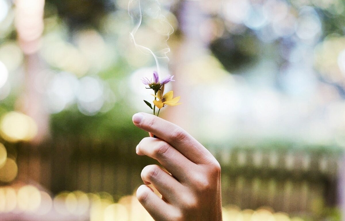 Фото: pixabay.com