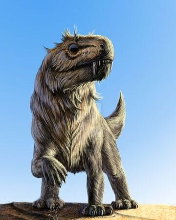 Только посмотрите какие они страшные.