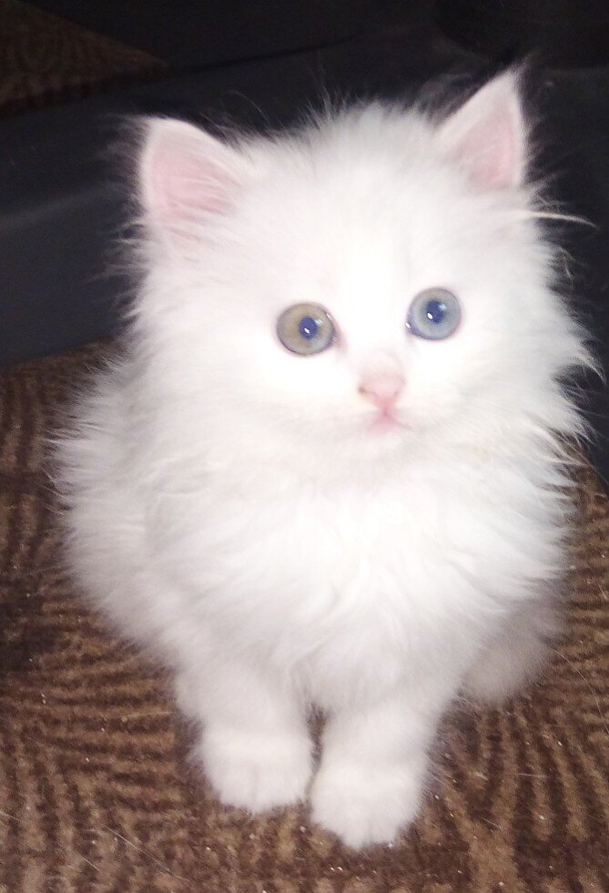 Это Я еще маленькая)))