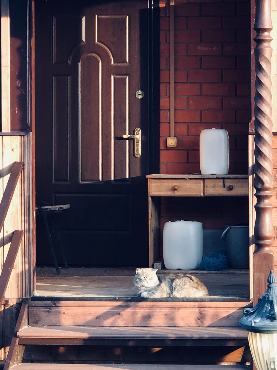 Вот эта сама входная дверь, ведущая в кухню, вместе с одним из представителей соседских кошек. Везде фото автора. 