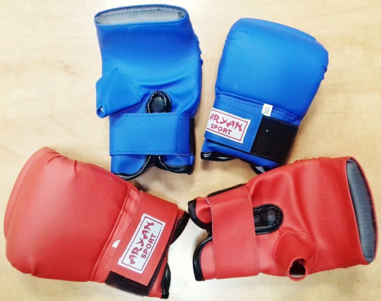 Перчатки Aryan Sport ARS 205