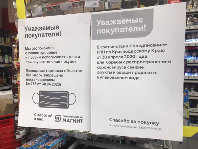 фото автора для статьи. ( канал - Ваше Здоровье В Наших Руках )