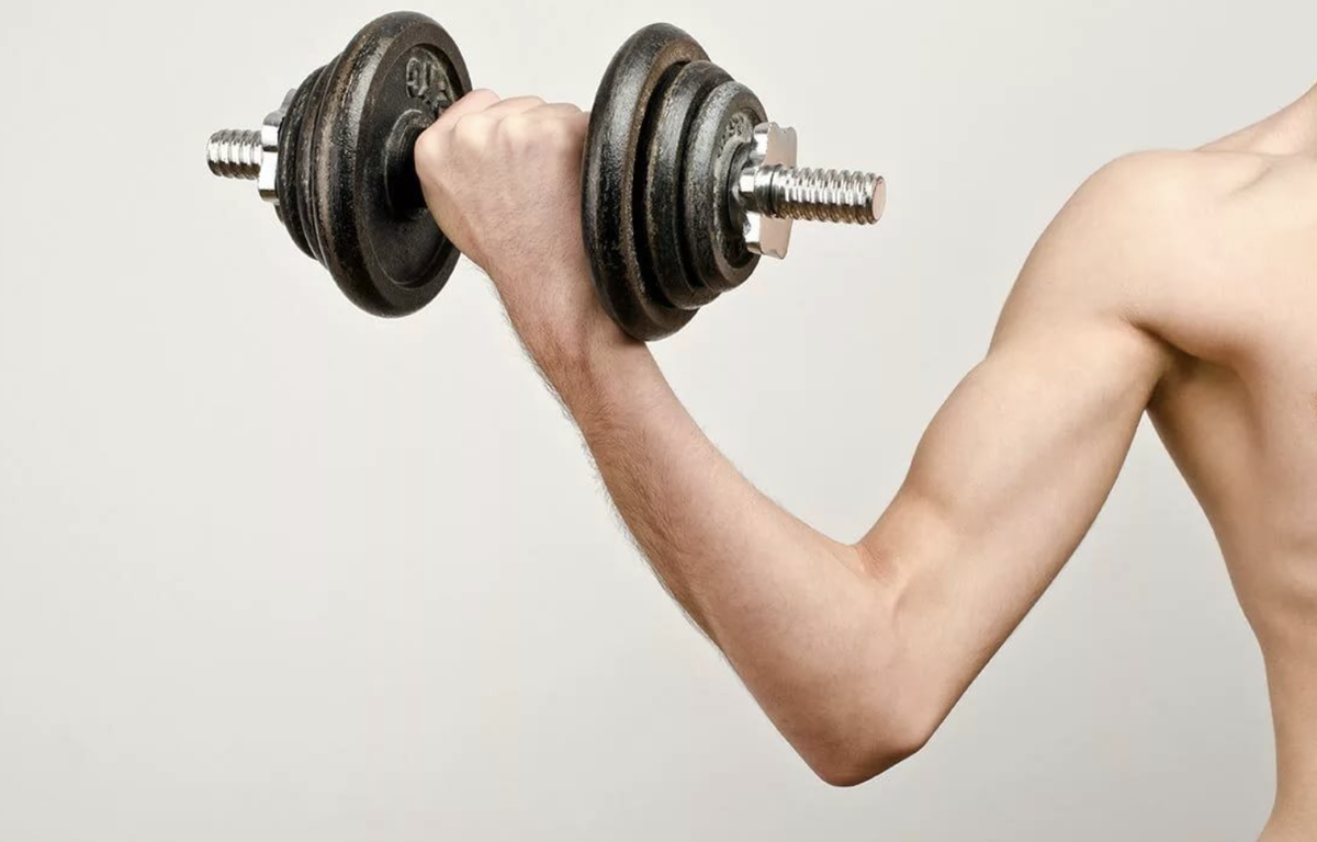 Парень с гантелями. Еда для спортсменов. Пресс штангиста. Trainer картинка спина. Качок с гантелей.