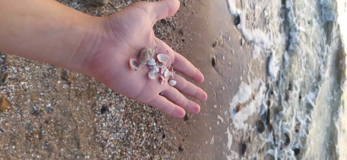 гуляем в районе пляжа Каменка, ждем квартиру, пока её убирают