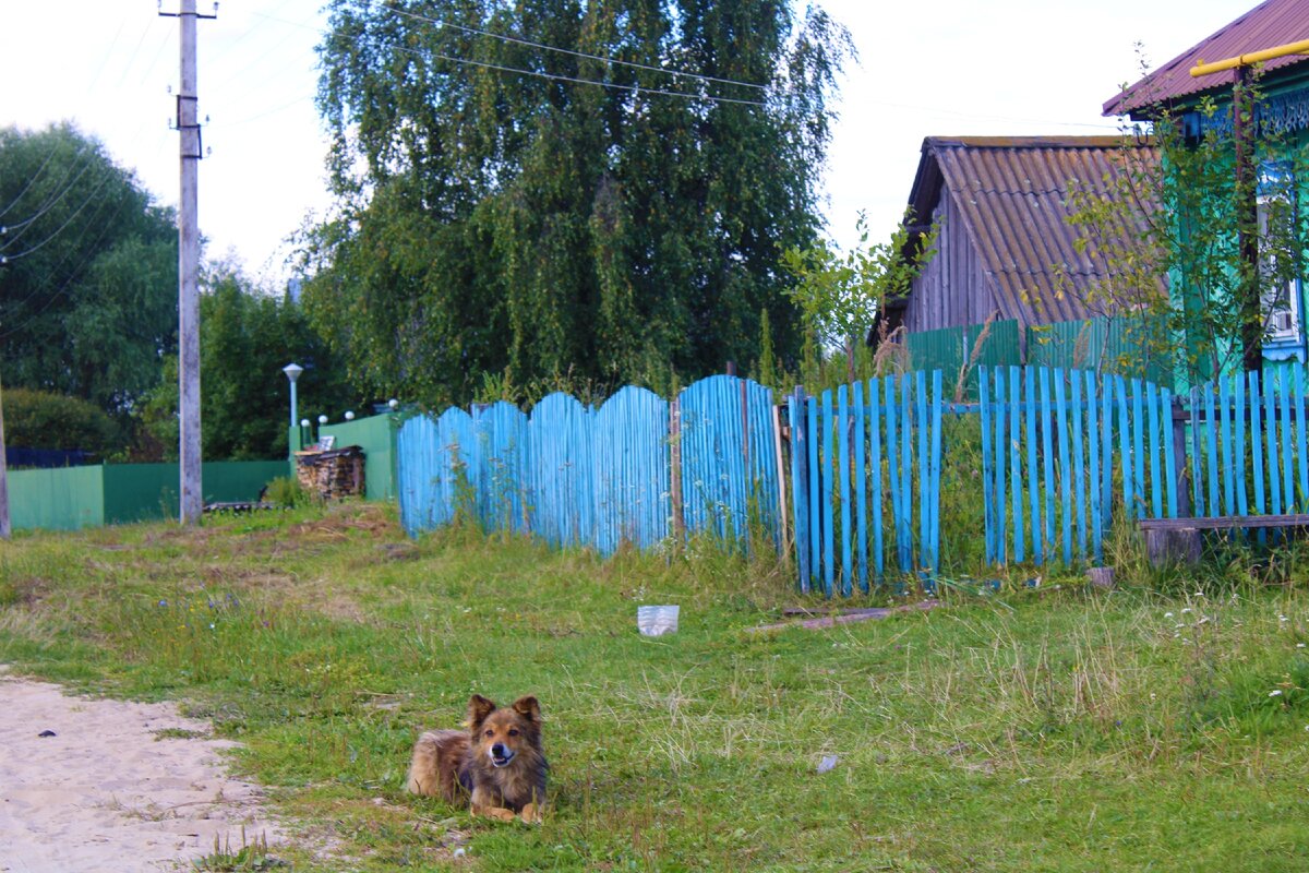 Русские Алгаши – старинное село Чувашии, заехали и посмотрели на обстановку  внутри села, показываю | Под зонтиком | Дзен