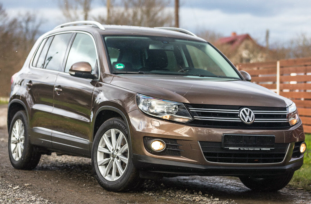 Фото взято из открытых источников