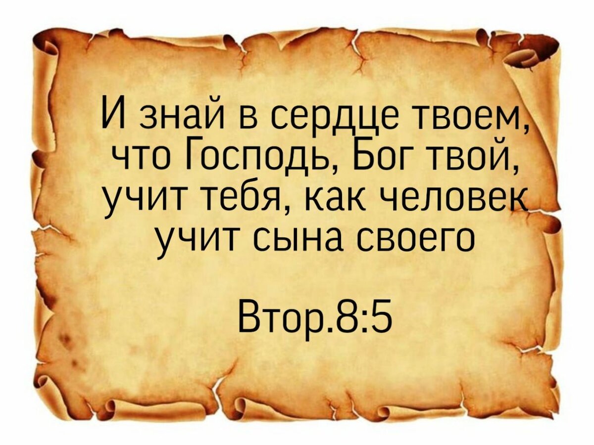 Бог учит нас постоянно, но зря. Что мы забываем сделать. | Жизнь в вере. |  Дзен