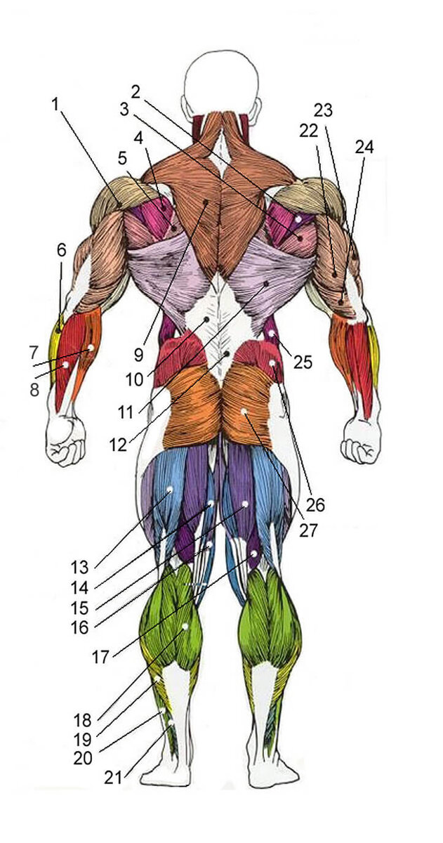 Источник: mayfairclub.ru 