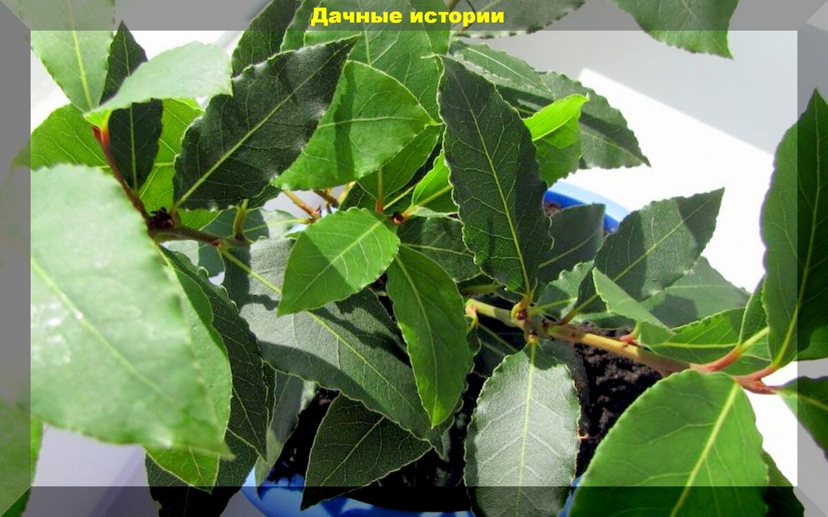 https://vk.com/photo-159774511_457244950