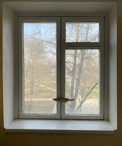 Фото из интернета