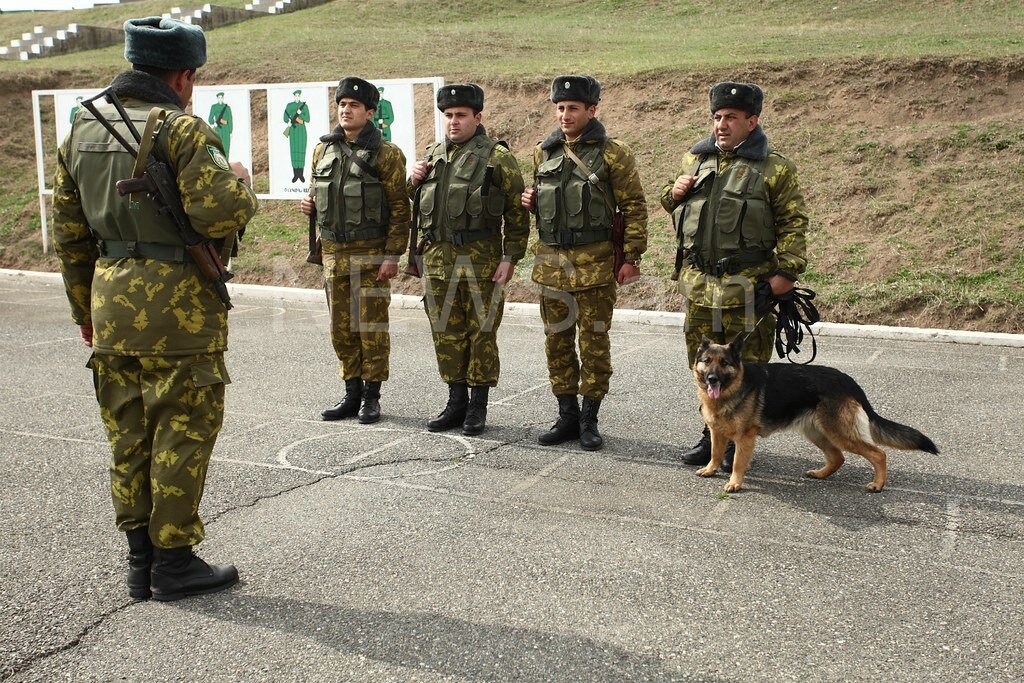 Собака на границе. Служебные собаки на границе. Погранслужба. Погранслужба Норвегии
