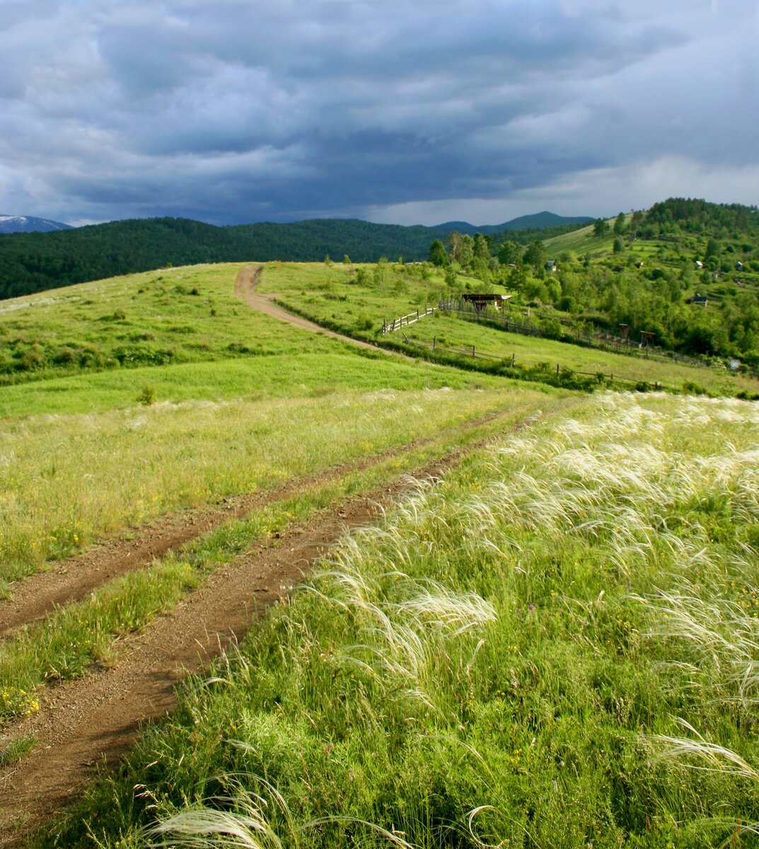 Фотография. стихотворение Василия Глуцкого