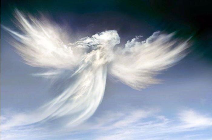 Фото взято с Яндекс.картинки