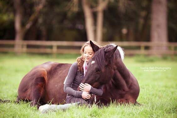 Чтобы лошади были здоровы и счастливы, мы должны учитывать их природу