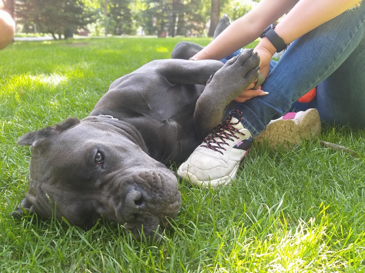 Танос релаксирует после занятия