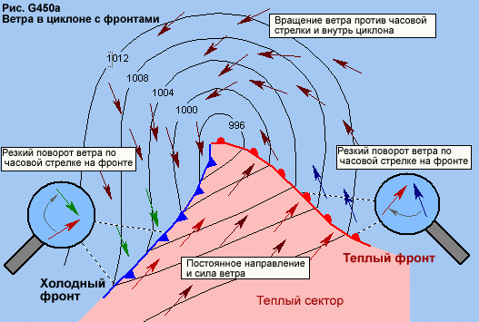 циклон с фронтами и направления ветров в нем