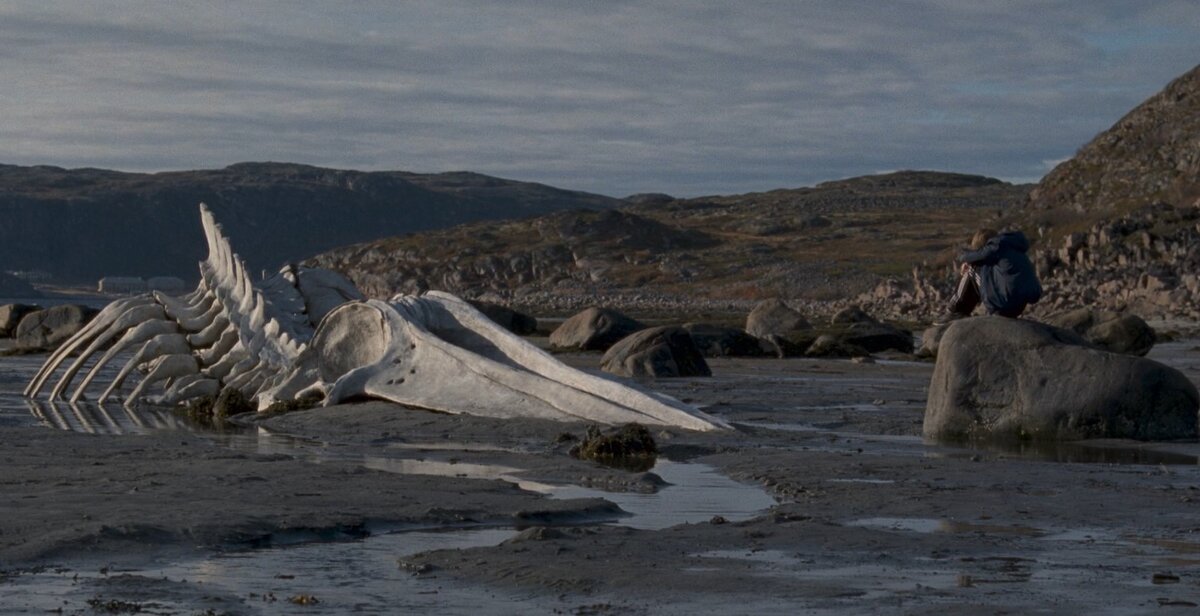 Лежит себе скелет и никого не трогает