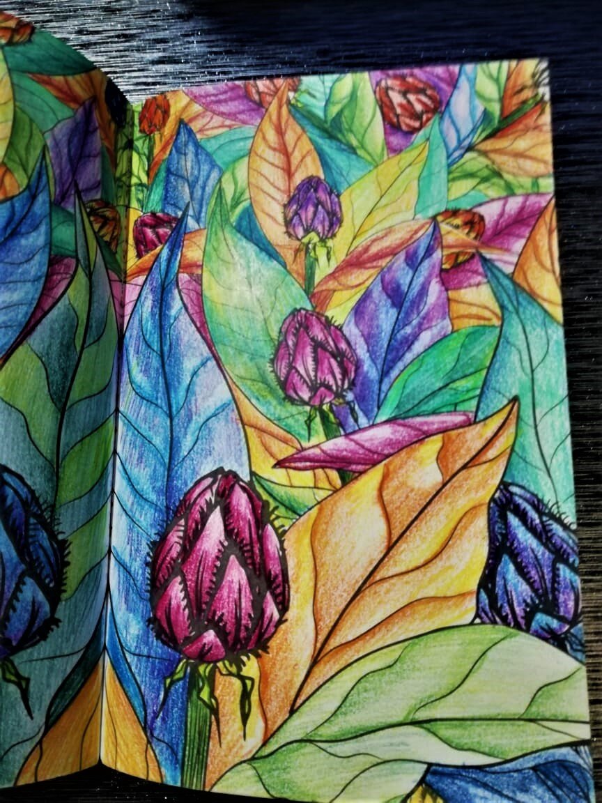 Заполненная страница антисресс раскраски "Загадочный лес"