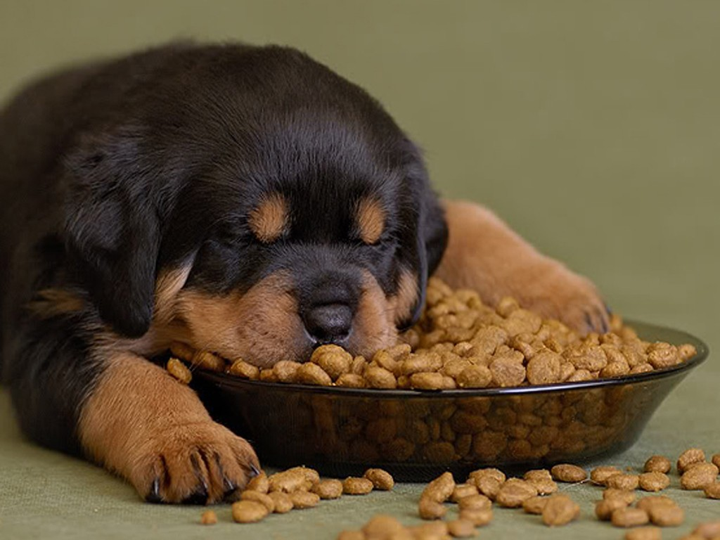  Источник Яндекс картинки