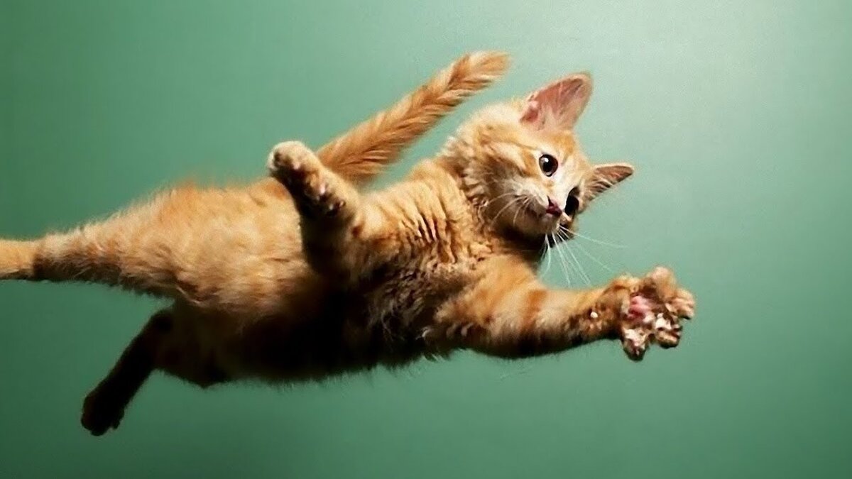 Картинка из сети интернет для иллюстрации