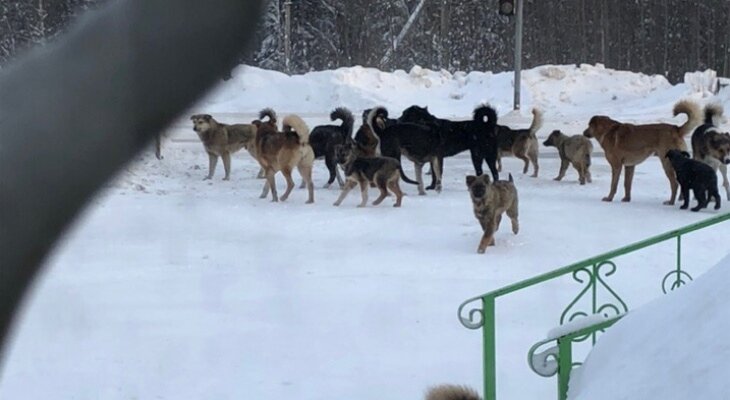 Источник: Комиинформ