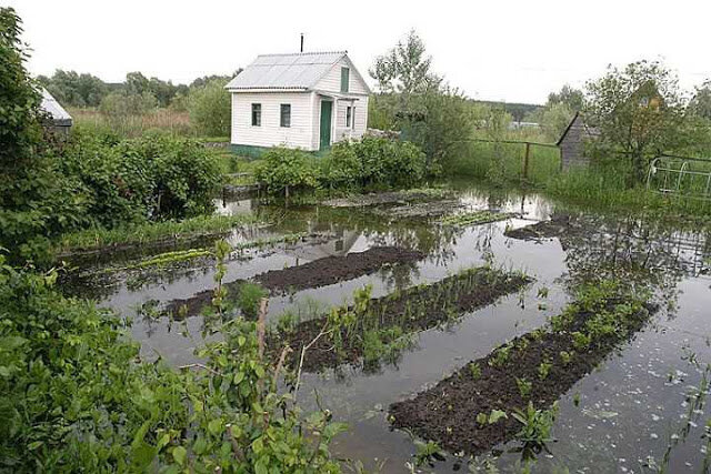 Грунтовые воды — чем опасны и как с ними бороться