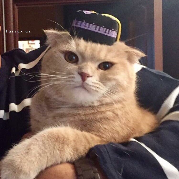 - Заходи дорогой, ми тебя ждем, тут добрые люди собираются.